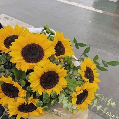 体育投注网址365