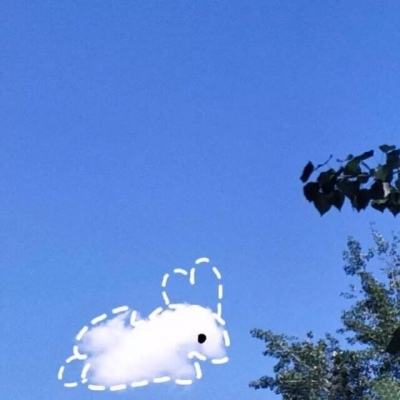 丰禾棋牌app下载