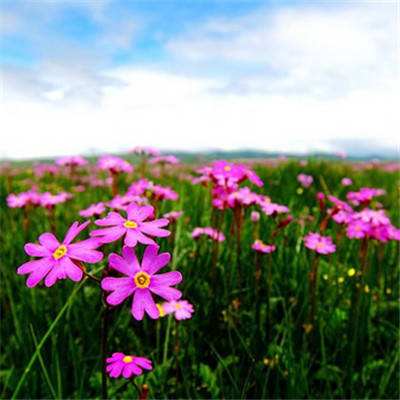 B体育登录入口APP下载