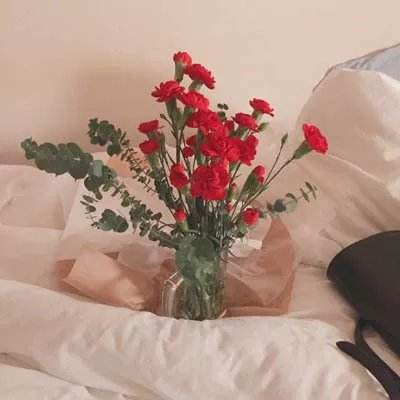 巴博体育官网安卓下载