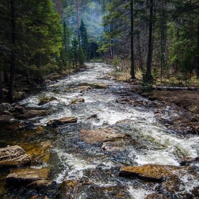 麻将胡了PG网页版